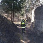 Brand